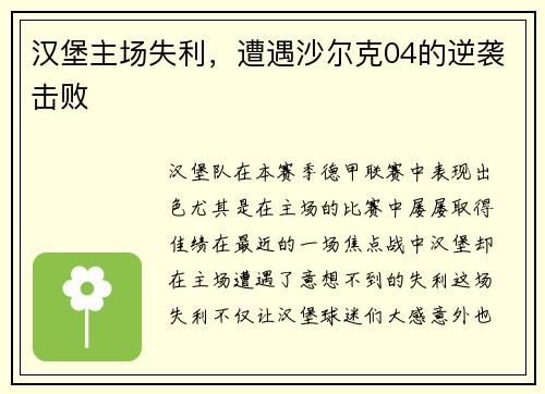 汉堡主场失利，遭遇沙尔克04的逆袭击败