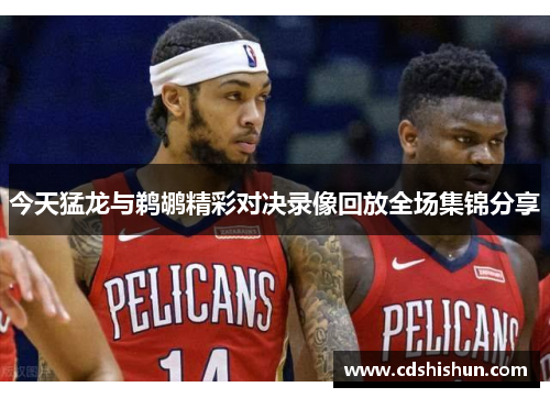今天猛龙与鹈鹕精彩对决录像回放全场集锦分享