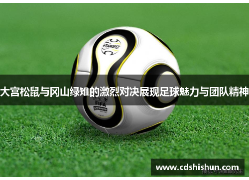 大宫松鼠与冈山绿雉的激烈对决展现足球魅力与团队精神