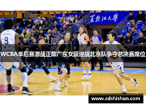 WCBA季后赛激战正酣广东女篮迎战北京队争夺总决赛席位
