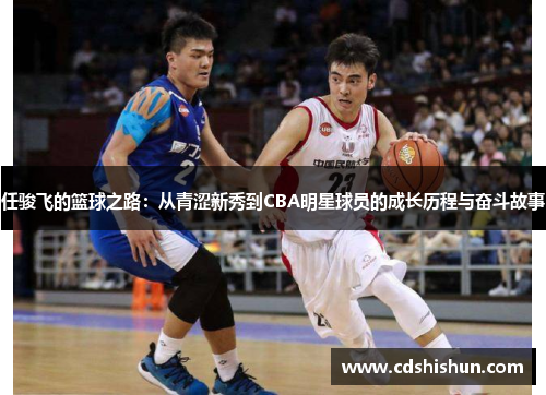 任骏飞的篮球之路：从青涩新秀到CBA明星球员的成长历程与奋斗故事