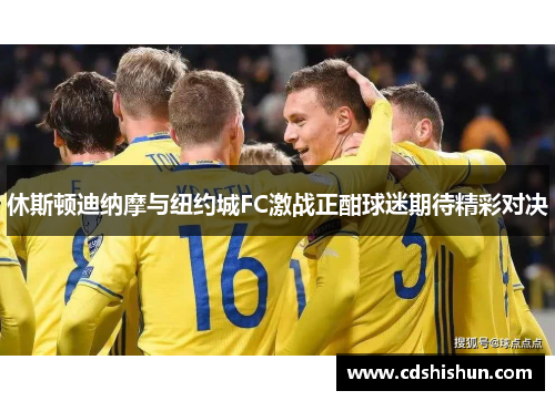 休斯顿迪纳摩与纽约城FC激战正酣球迷期待精彩对决